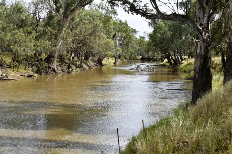 Fourth view of Homely rural property listing, " The River Block" 1421 Kiacatoo Road, Condobolin NSW 2877