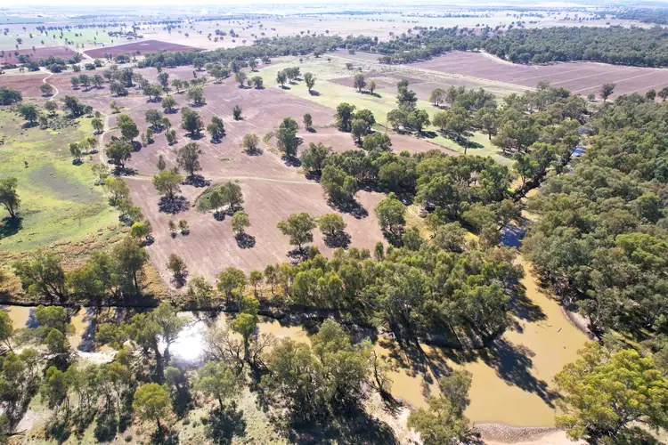 Sixth view of Homely rural property listing, " The River Block" 1421 Kiacatoo Road, Condobolin NSW 2877