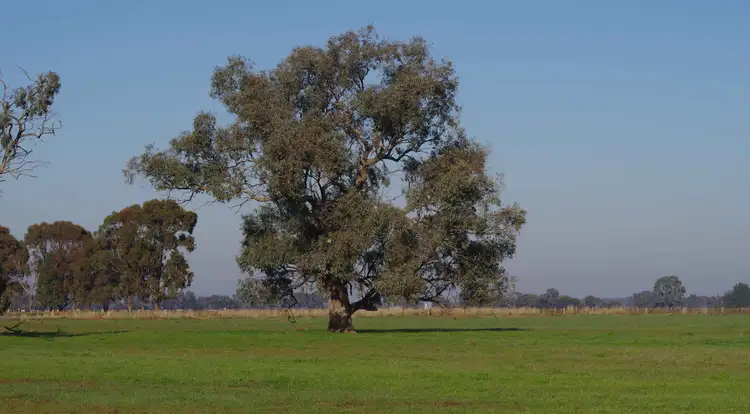 Fifth view of Homely rural property listing, 1398 Simmie Road, Strathallan VIC 3622