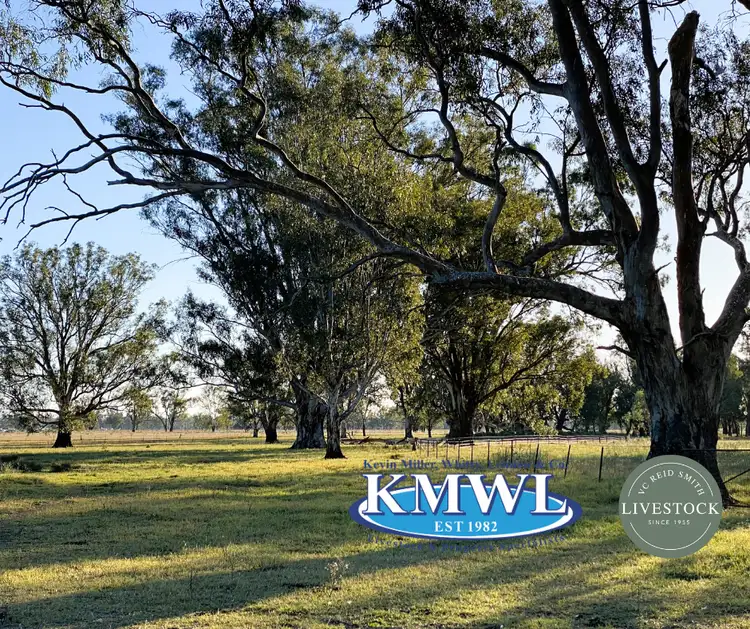 Second view of Homely rural property listing, "Kyalla" 156 Forest Road, Forbes NSW 2871