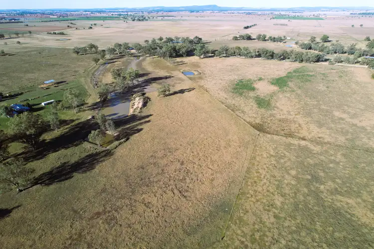 Third view of Homely rural property listing, "Kyalla" 156 Forest Road, Forbes NSW 2871