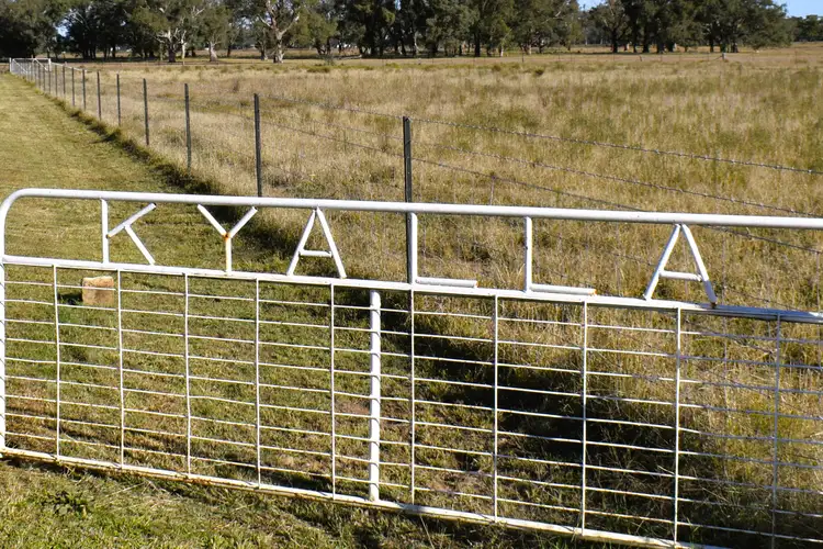 Fifth view of Homely rural property listing, "Kyalla" 156 Forest Road, Forbes NSW 2871