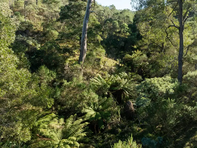 Fifth view of Homely rural property listing, 576 Frees Road, Merton VIC 3715