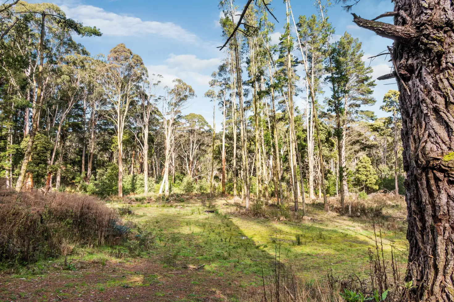 Main view of Homely land listing, LOT 13 Old Blackwood Road, Blackwood VIC 3458