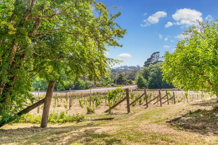 Sixth view of Homely land listing, LOT 10, Part of 101 Mollison Street, Malmsbury VIC 3446