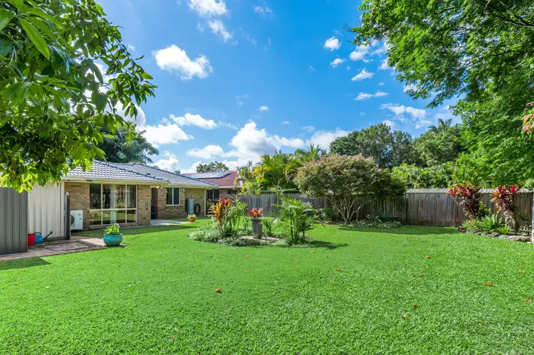 12 Rush Court, Mullumbimby NSW 2482