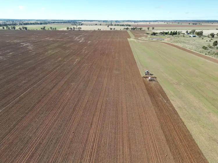 Main view of Homely rural property listing, 'Durringle' 104 Pfeiffers Lane, West Wyalong NSW 2671