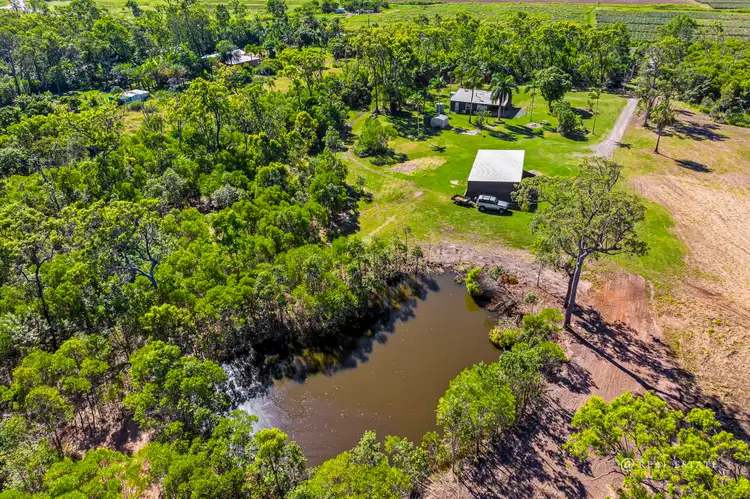Main view of Homely rural property listing, 445 Limestone Creek Road, Adelaide Park QLD 4703