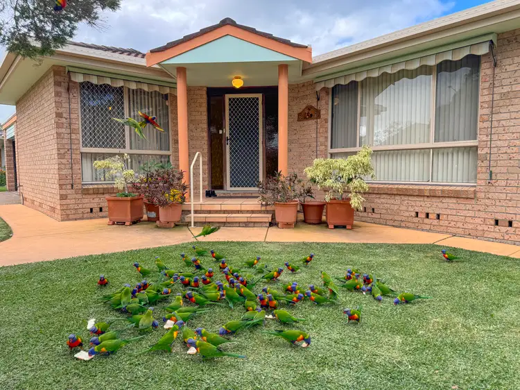 Main view of Homely house listing, 4 Oceanic Place, Old Bar NSW 2430