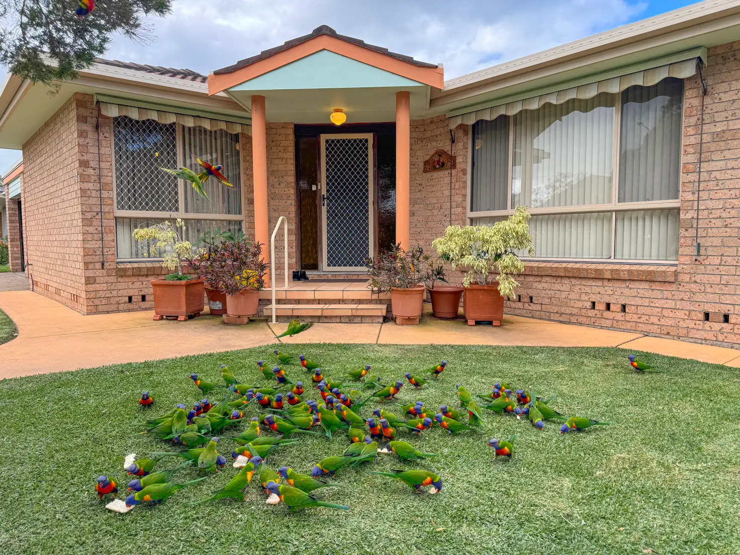 Main view of Homely house listing, 4 Oceanic Place, Old Bar NSW 2430