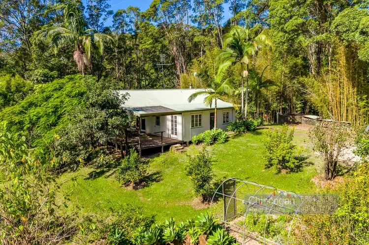 114 Settlement Road, Main Arm NSW 2482