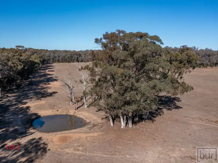 104 Curtins Road, Cornishtown VIC 3683