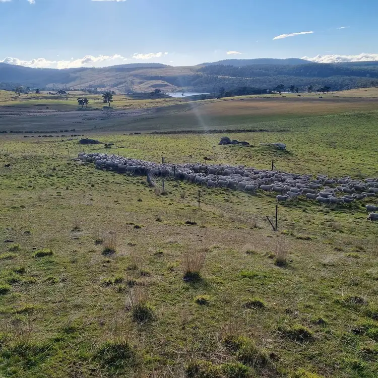Fourth view of Homely rural property listing, 749 Rotherwood Road, Lower Marshes TAS 7030