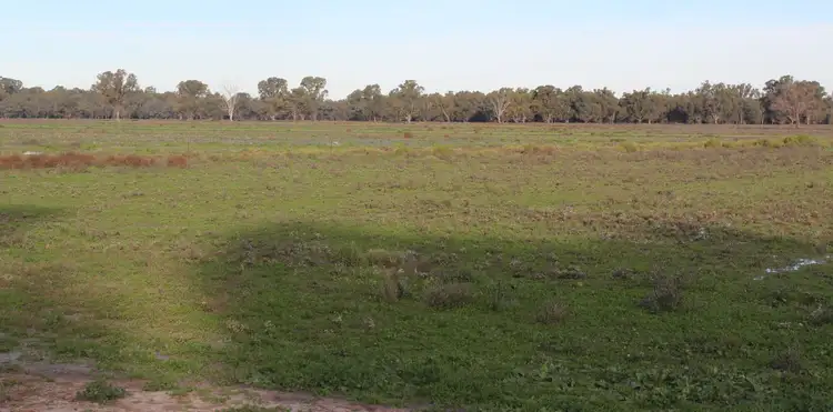 Second view of Homely rural property listing, 13300 Lachlan Valley Way, Condobolin NSW 2877