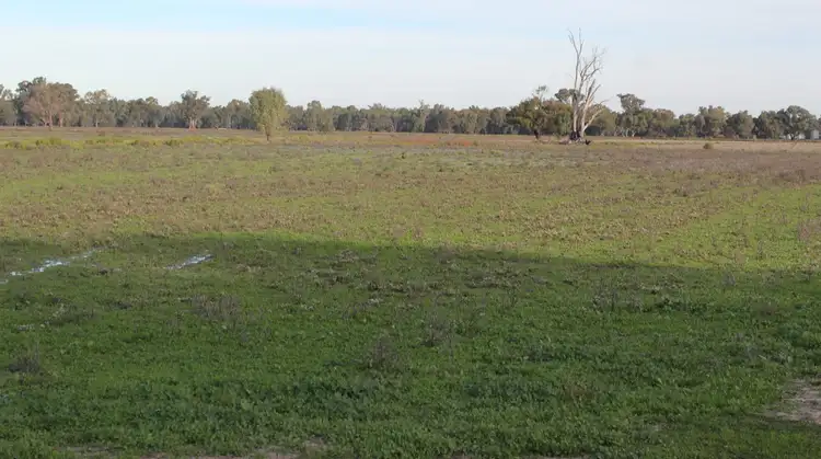 Third view of Homely rural property listing, 13300 Lachlan Valley Way, Condobolin NSW 2877