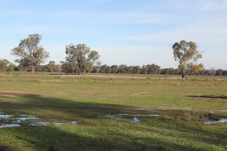 Fourth view of Homely rural property listing, 13300 Lachlan Valley Way, Condobolin NSW 2877