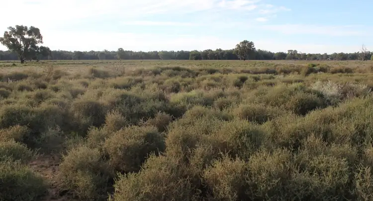 Fifth view of Homely rural property listing, 13300 Lachlan Valley Way, Condobolin NSW 2877