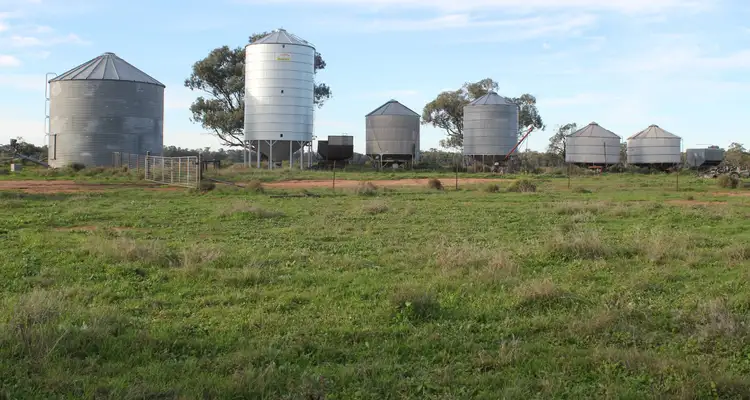 Sixth view of Homely rural property listing, 13300 Lachlan Valley Way, Condobolin NSW 2877