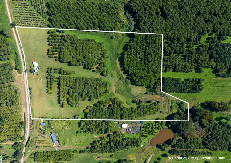 Second view of Homely rural property listing, 100 Fraser Road, Dunoon NSW 2480