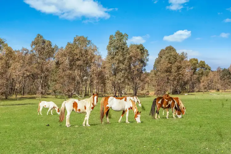 Second view of Homely land listing, CA 17 Derrinal-Crosbie Road, Toolleen VIC 3551