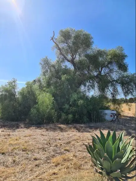 Third view of Homely land listing, 14 Andrews Avenue, York WA 6302