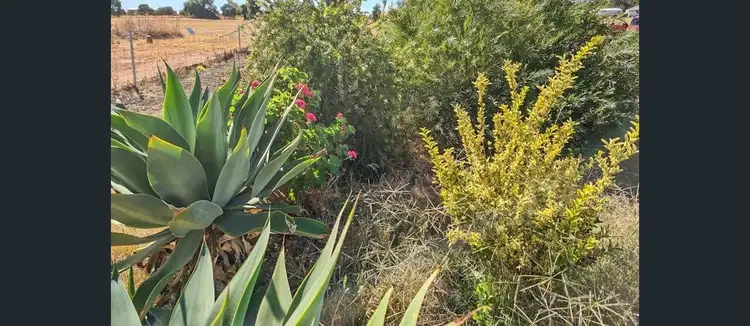 Sixth view of Homely land listing, 14 Andrews Avenue, York WA 6302