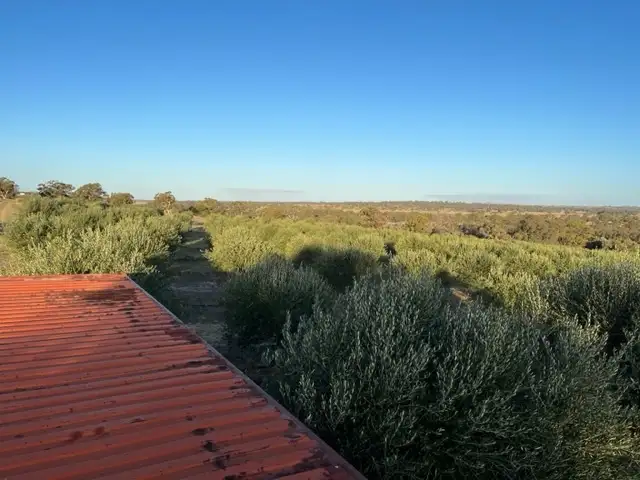 Sixth view of Homely rural property listing, 2 Maitland Road, Beverley WA 6304