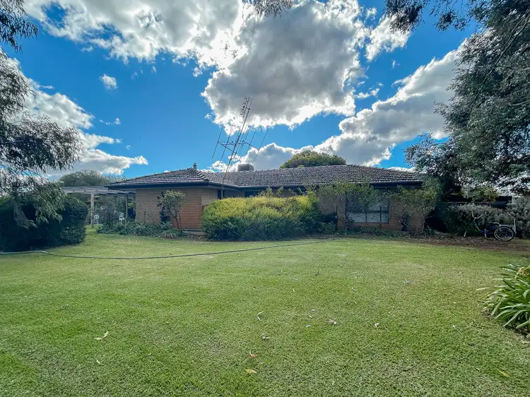 Main view of Homely rural property listing, 911 Kerang-Koondrook Road, Kerang VIC 3579
