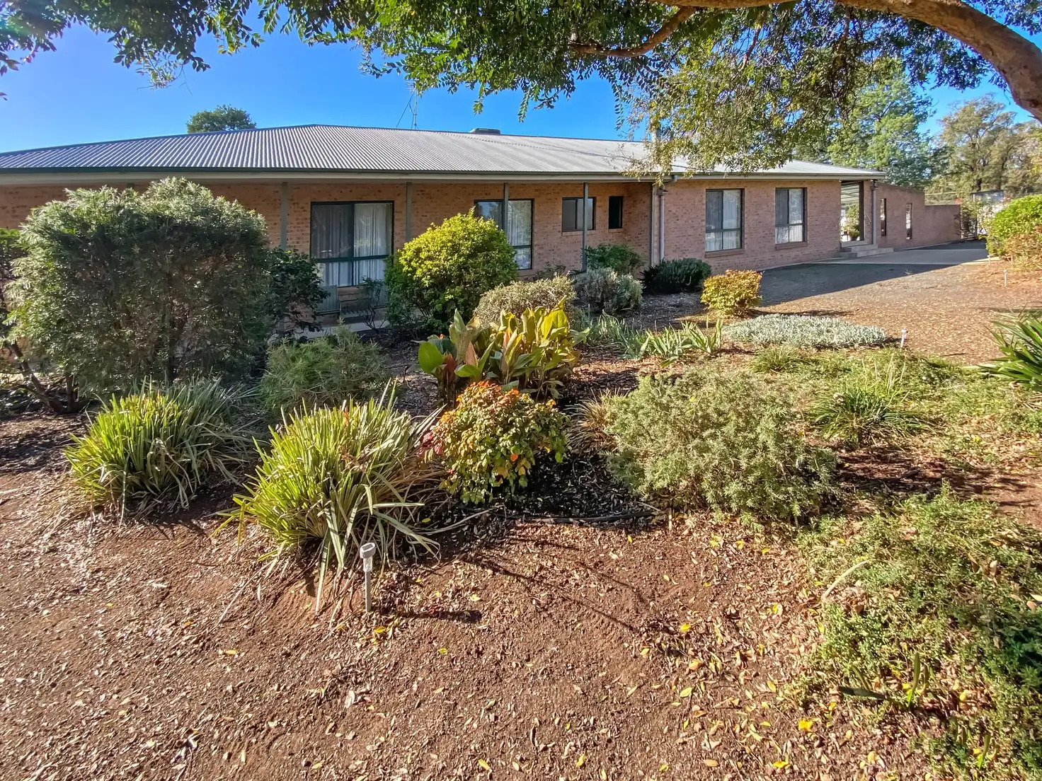 Main view of Homely house listing, 13 McAlister St, Darlington Point NSW 2706