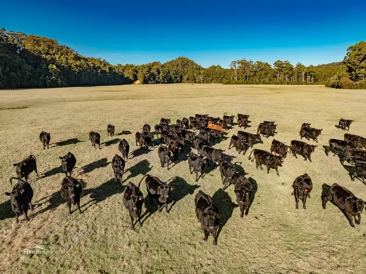 Fifth view of Homely rural property listing, 17 Walkers Road, Rocky Cape TAS 7321