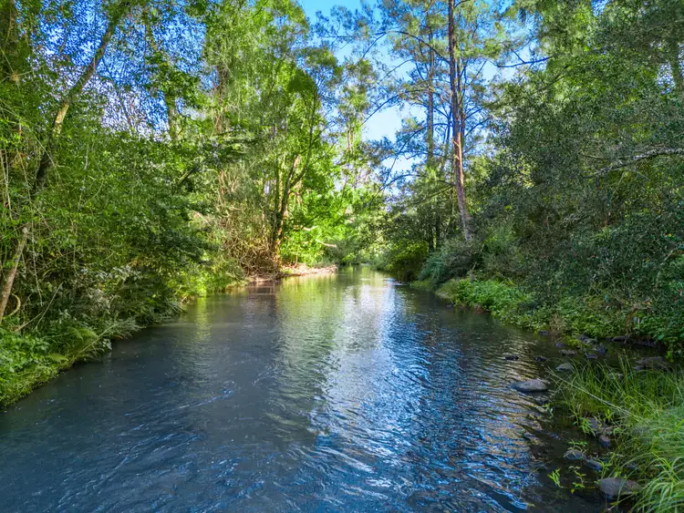 Sixth view of Homely rural property listing, Address available on request