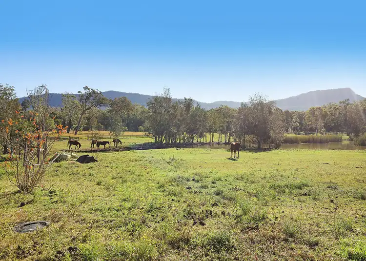 Sixth view of Homely rural property listing, 290 - 296 West Dapto Road, Stream Hill NSW 2526
