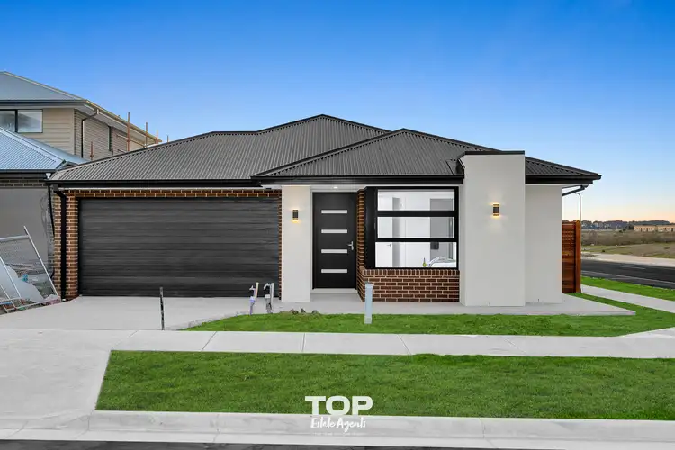Second view of Homely house listing, 37 Woolly Parade, Clyde North VIC 3978