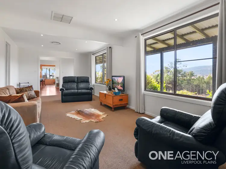 Sixth view of Homely rural property listing, 867 Borah Creek Road, Quirindi NSW 2343