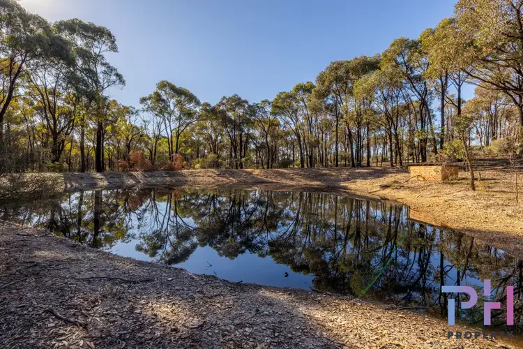 Seventh view of Homely rural property listing, 50 Goddards Road, Myers Flat VIC 3556