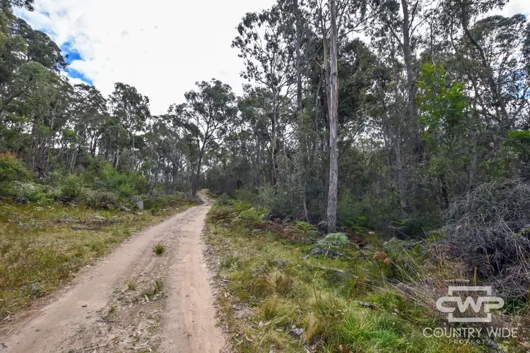Second view of Homely rural property listing, 28 Sara River Road, Mount Mitchell NSW 2365