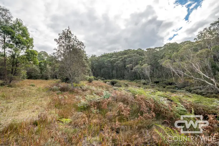 Sixth view of Homely rural property listing, 28 Sara River Road, Mount Mitchell NSW 2365