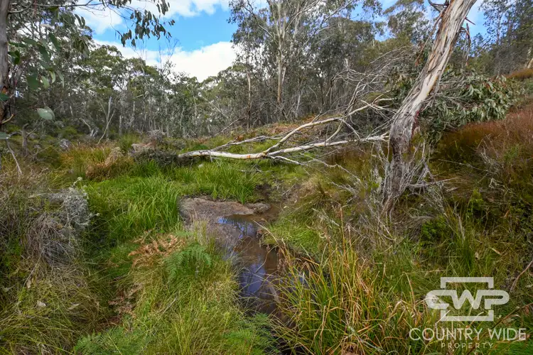 Seventh view of Homely rural property listing, 28 Sara River Road, Mount Mitchell NSW 2365