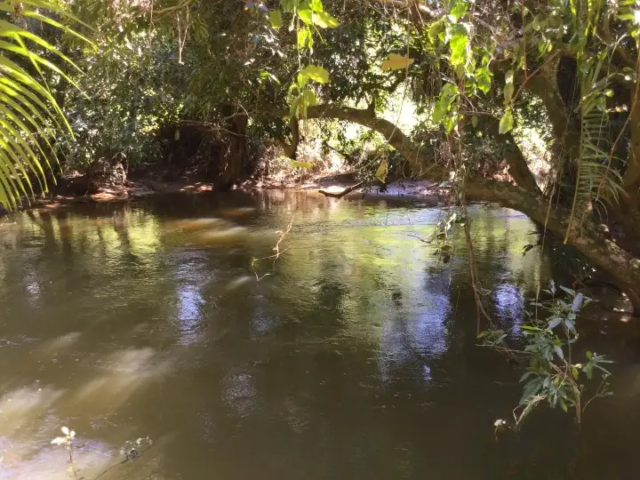 Fifth view of Homely rural property listing, 434 Mena Creek Road, Mena Creek QLD 4871