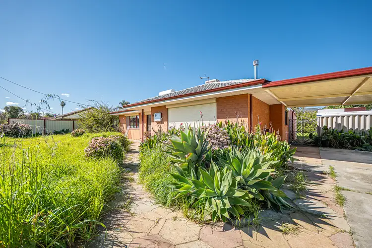 14 Werndley Street, Armadale WA 6112