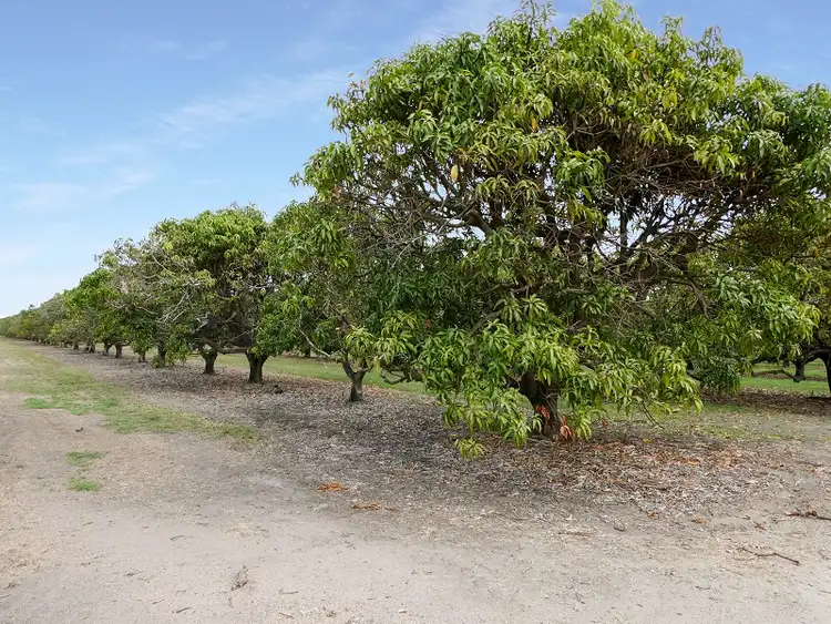 Second view of Homely land listing, LOT 8, Lot Bartlett Road, Horseshoe Lagoon QLD 4809