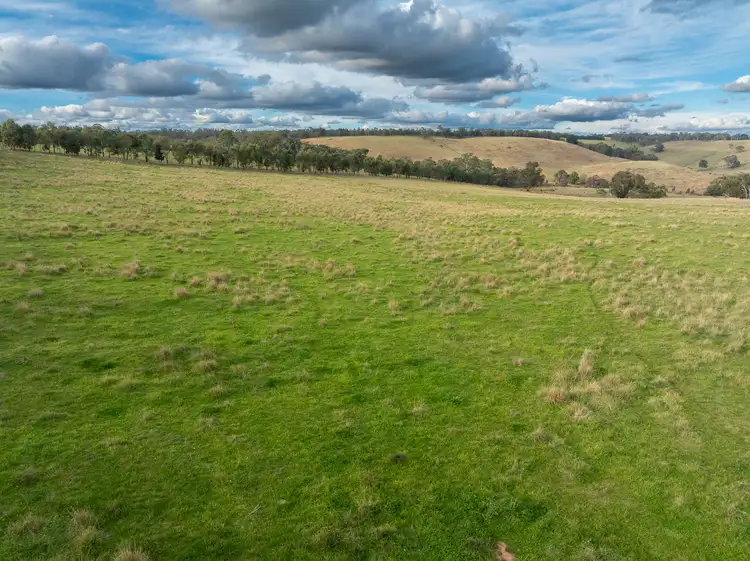65 Gorham Road, Springside NSW 2800