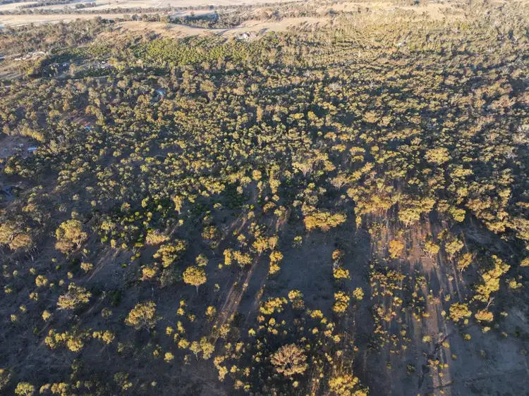 Sixth view of Homely rural property listing, 299 Obriens Drive, Mcintyre VIC 3472