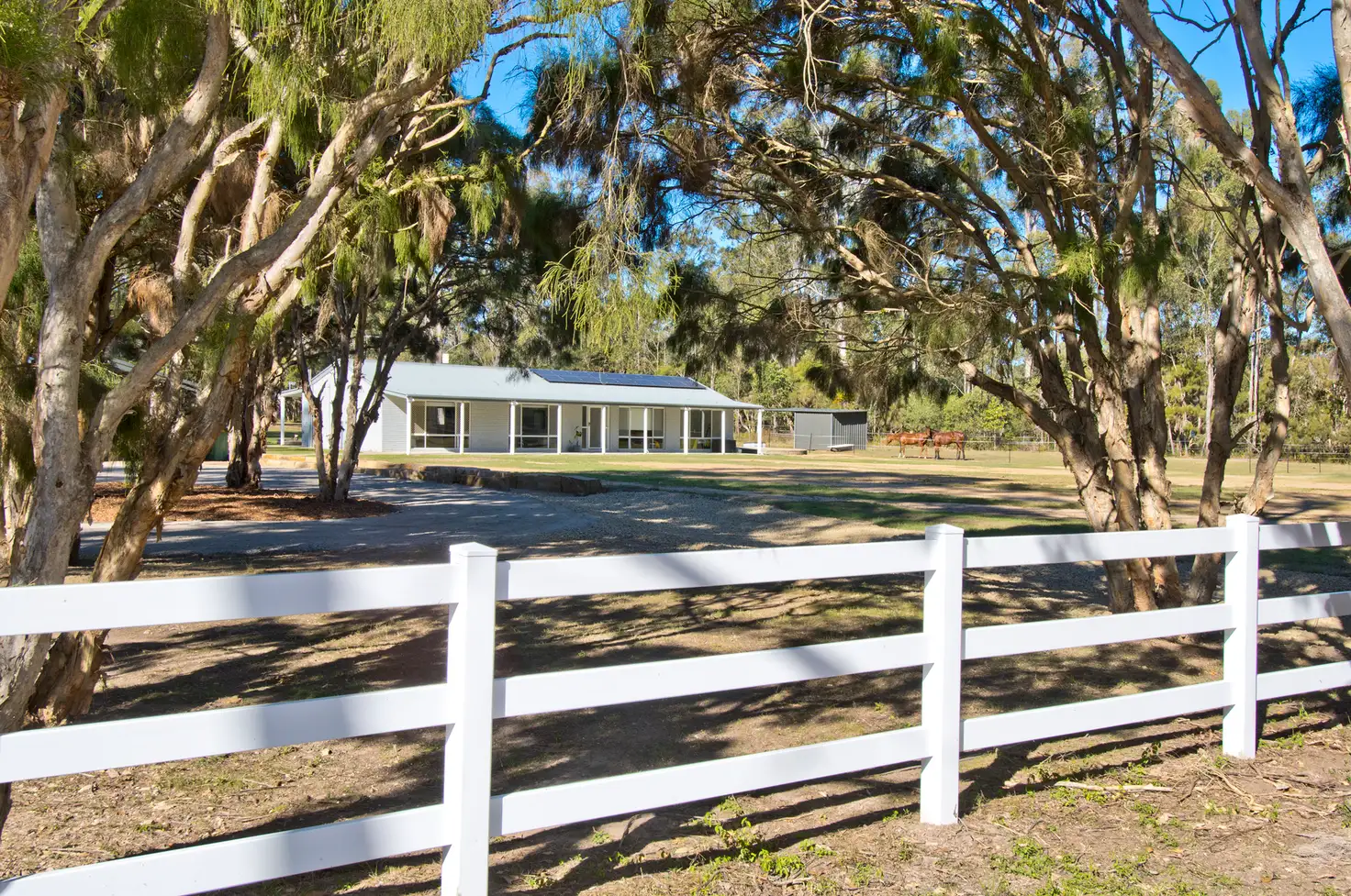 Main view of Homely house listing, 96-106 Redwood Circle, Glenlogan QLD 4280