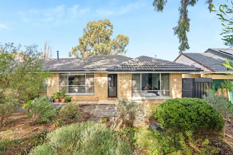 8 Josephine Street, Highbury SA 5089