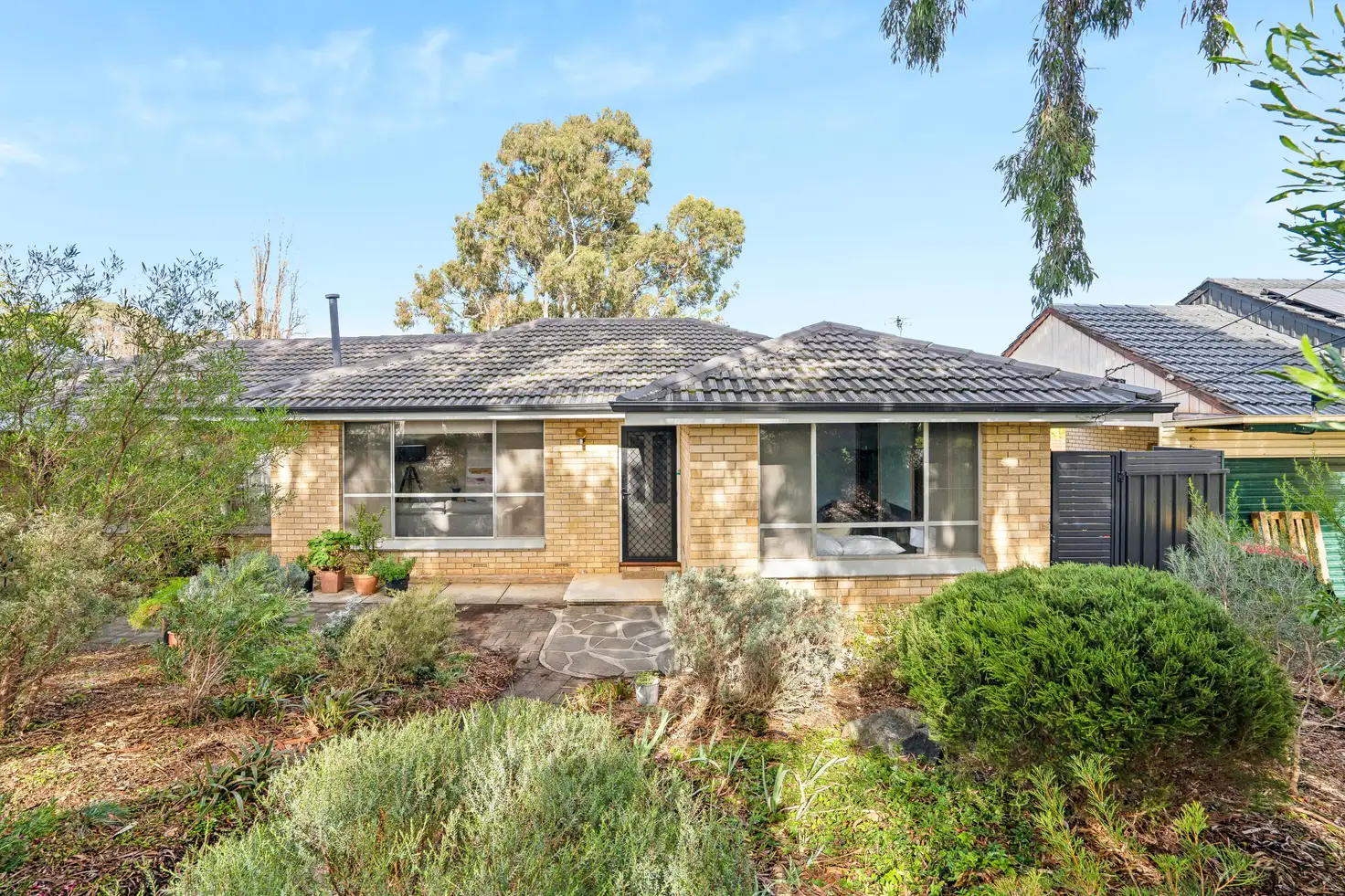 Main view of Homely house listing, 8 Josephine Street, Highbury SA 5089