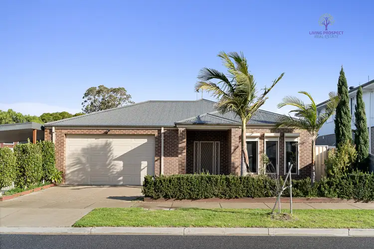 61 Blanche Street, St Leonards VIC 3223