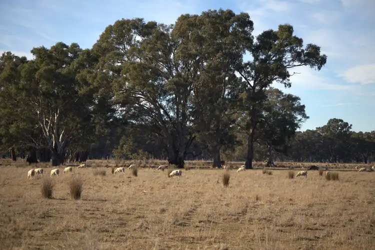 Fifth view of Homely rural property listing, Address available on request