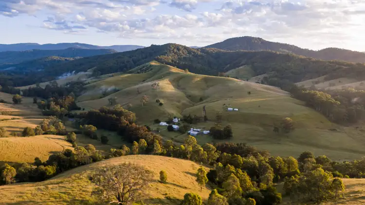 3334 Allyn River Road, Upper Allyn NSW 2311