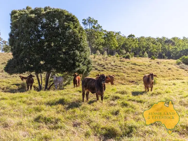 275 Nantglyn Road, Mundubbera QLD 4626